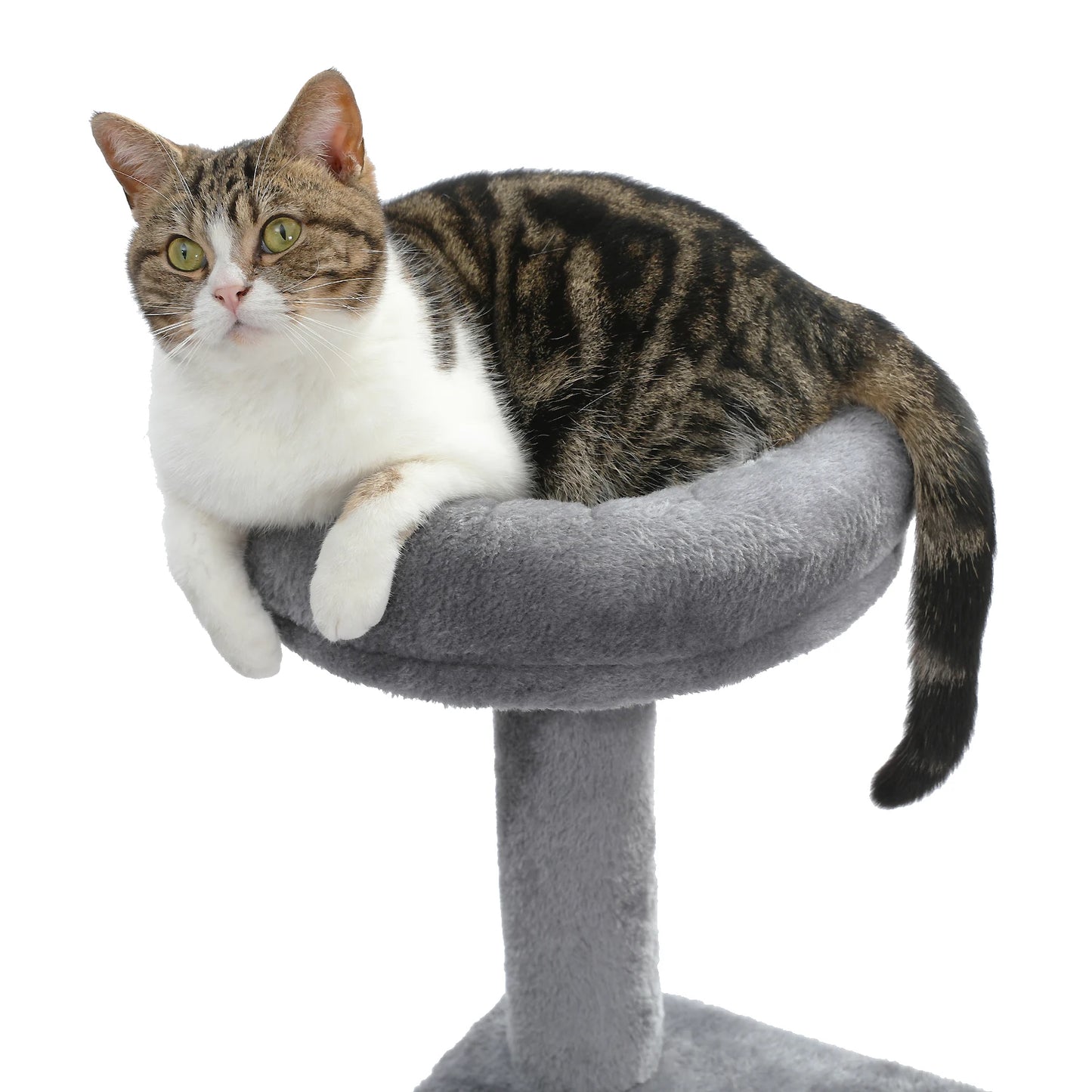 Multi-Level Cat Tree Tower