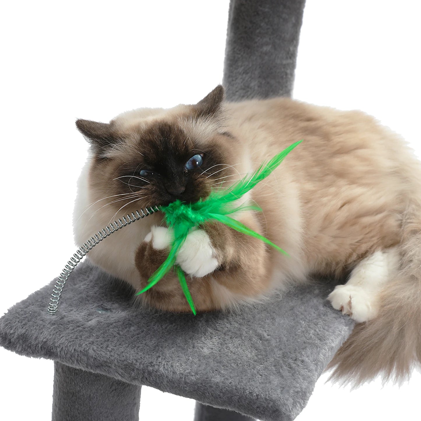 Multi-Level Cat Tree Tower