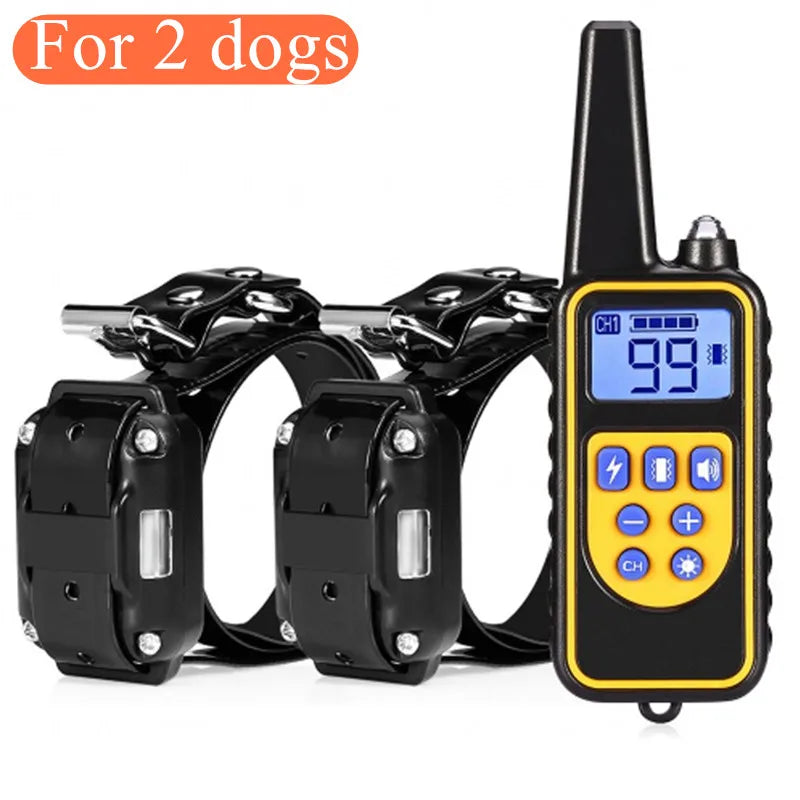 Dog Training Collar