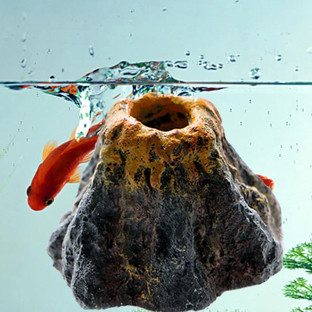Fish Tank Aquarium