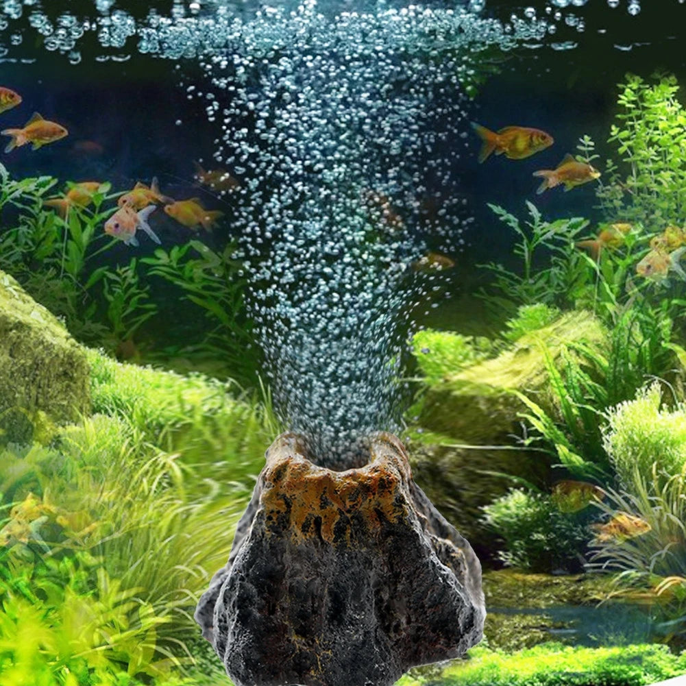 Fish Tank Aquarium