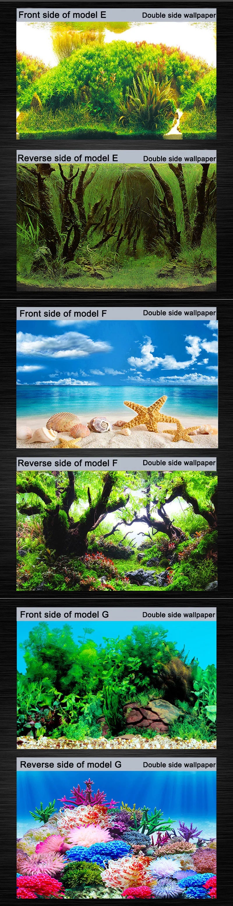 Aquarium Background Sticker