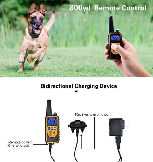 Dog Training Collar