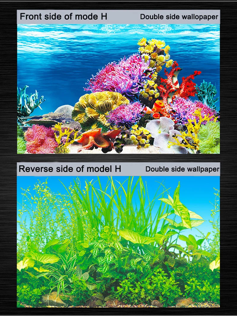 Aquarium Background Sticker