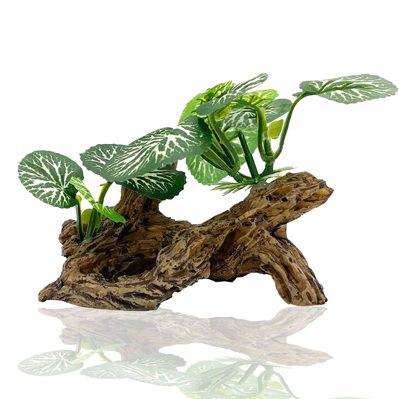 Aquarium  Plants