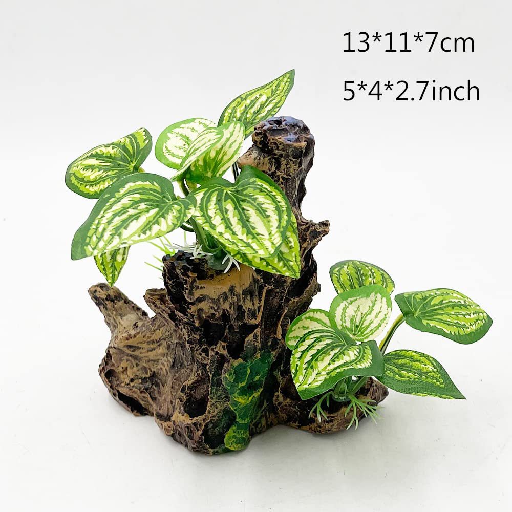 Aquarium  Plants