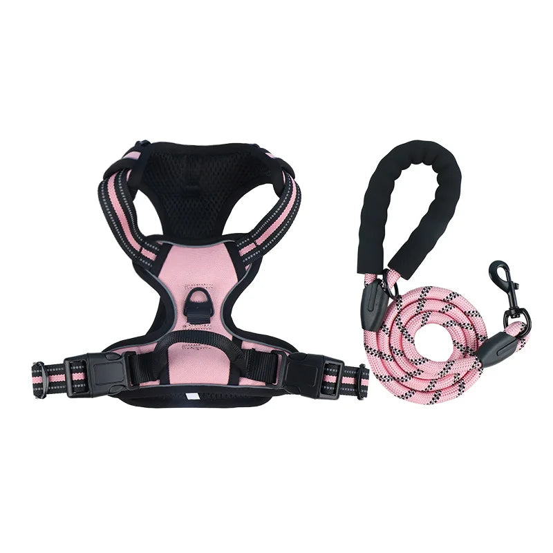 Dog collar, harness