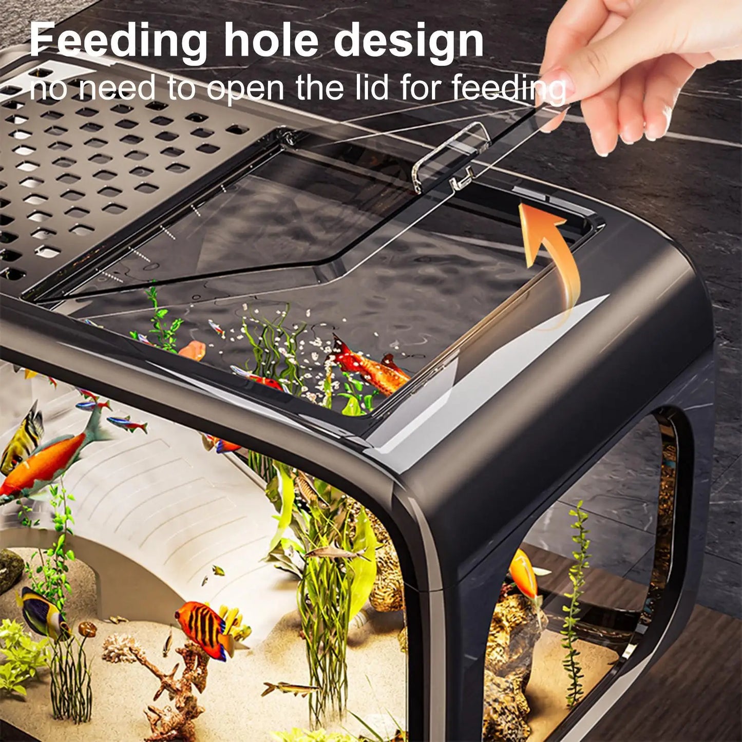 Aquarium Fish Tank