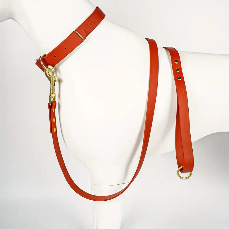 Dog Leash