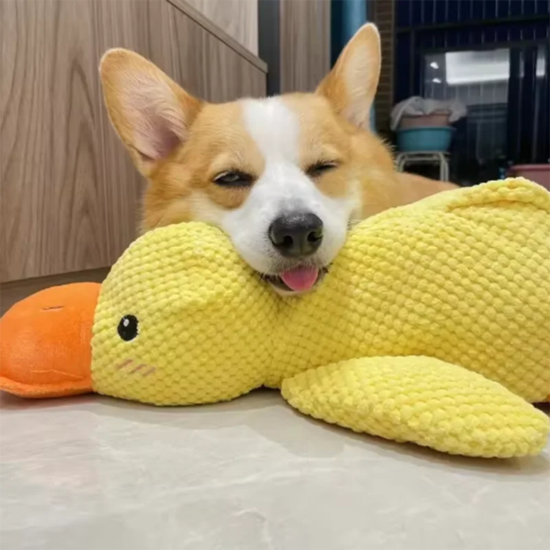 Stomping Duck