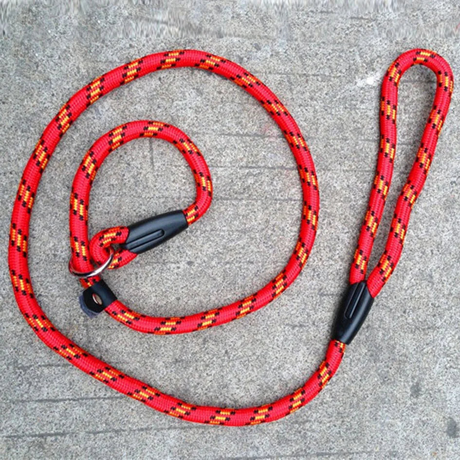 Dog Leash With Comfortable Padded Handle
