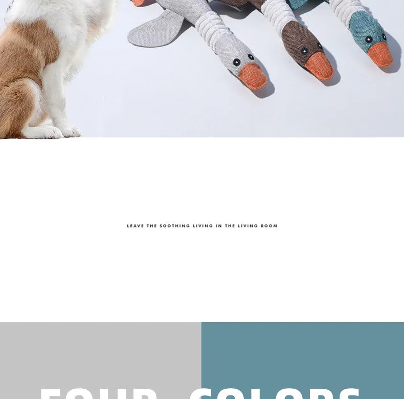 Dogs bite