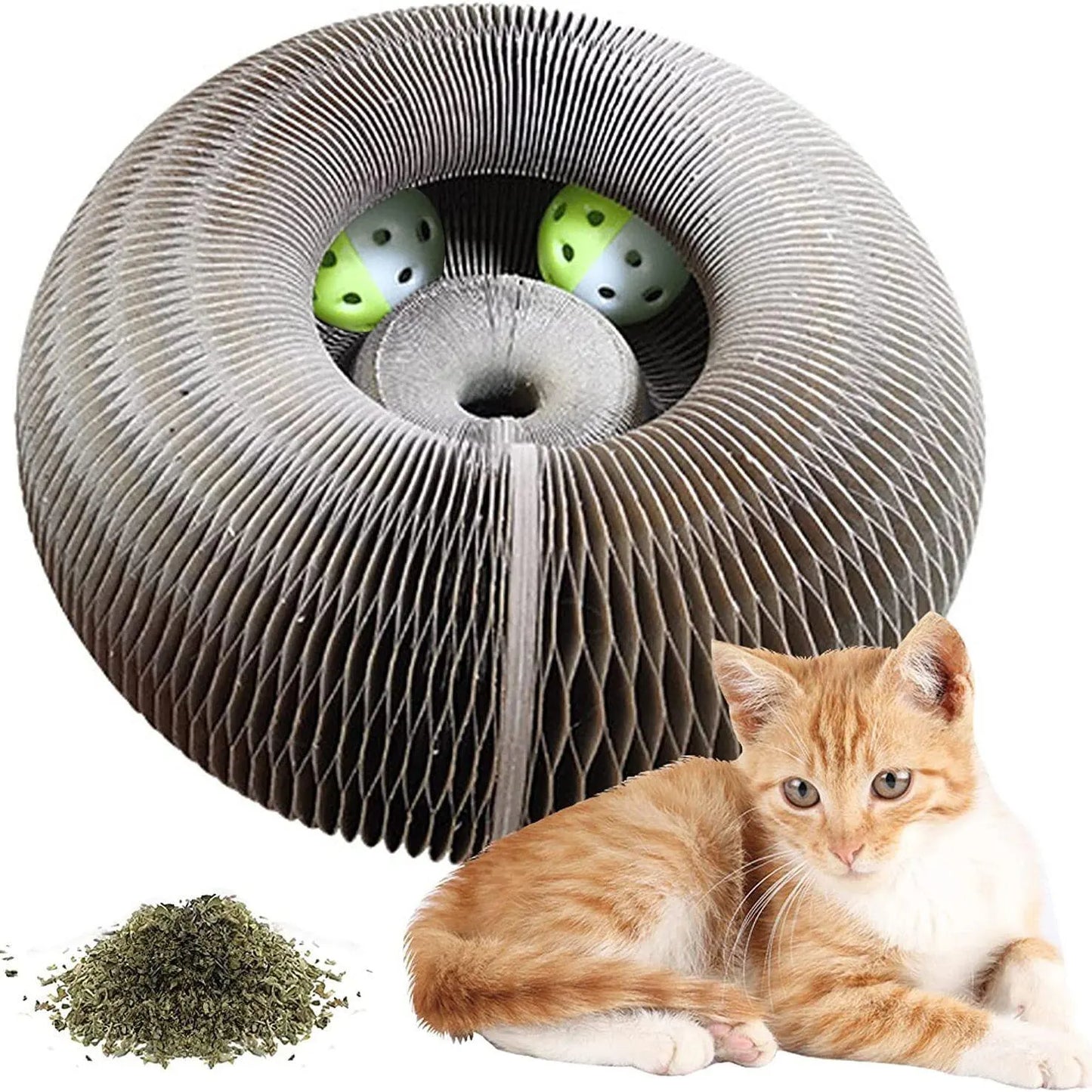 Magic Cat Scratcher & Toy