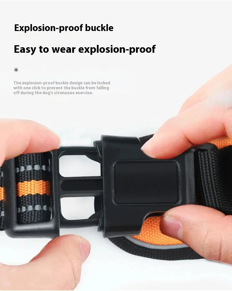 Dog collar, harness
