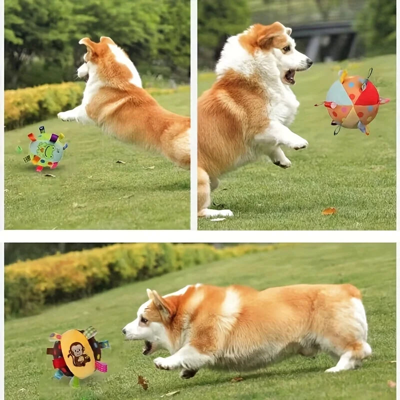 Interactive Ball