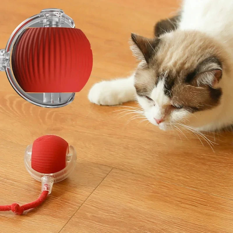 Cat toy ball
