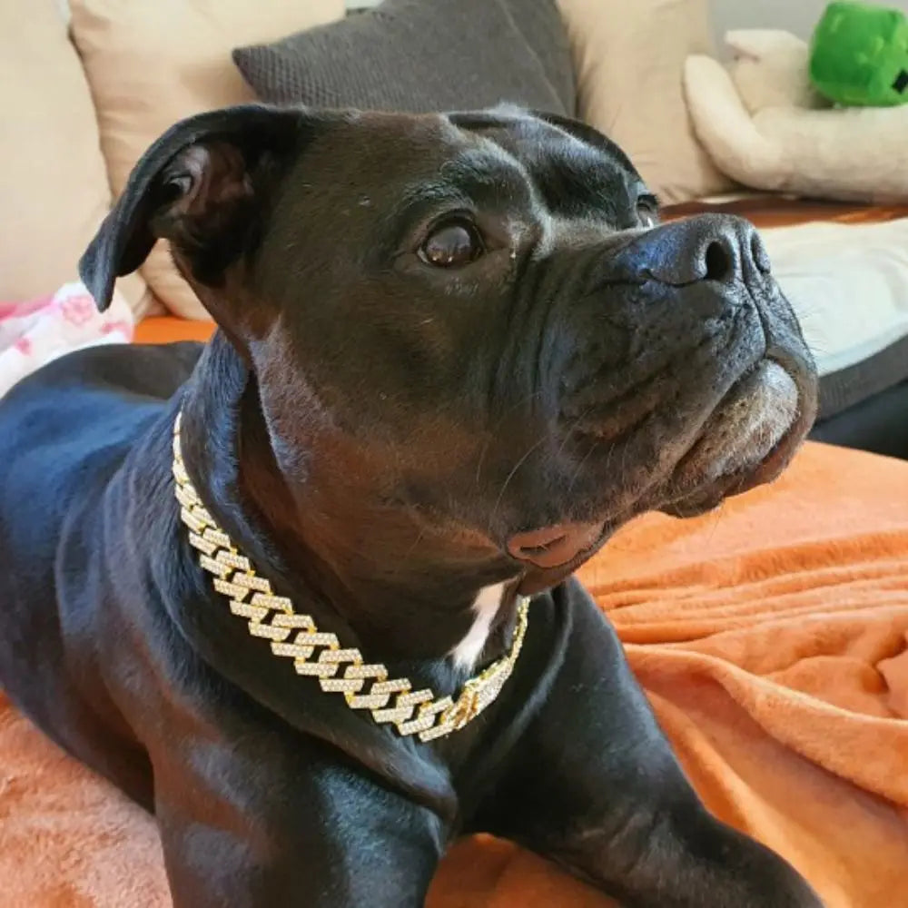 Luxury Collar Chain