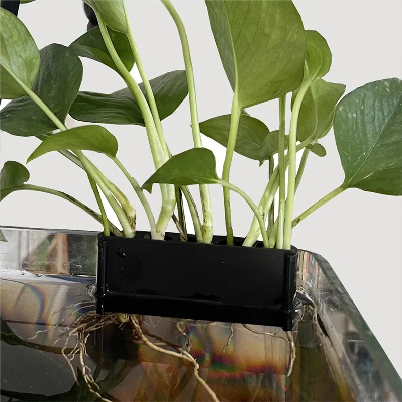 Aquarium Plant Basket