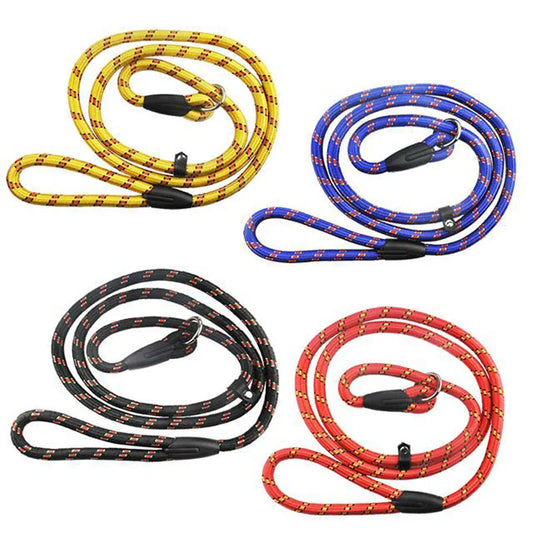 Dog Leash With Comfortable Padded Handle