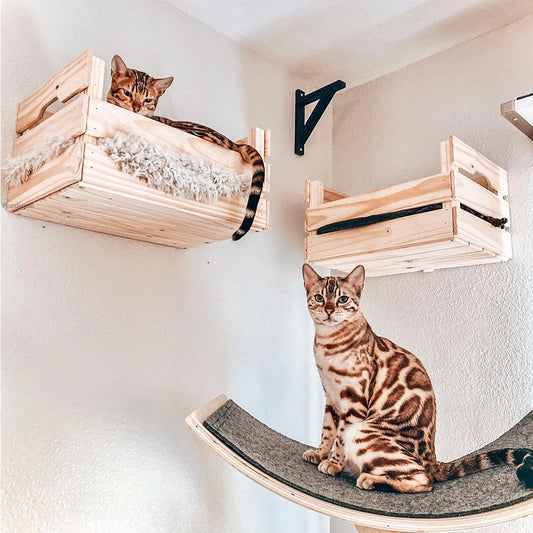 Wall Mounted Cat Tree