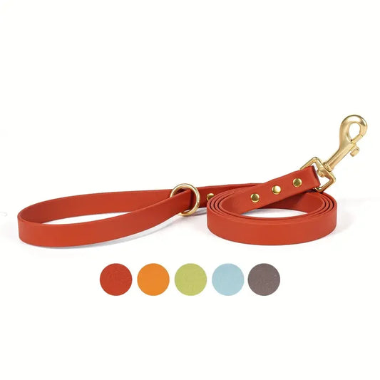 Dog Leash