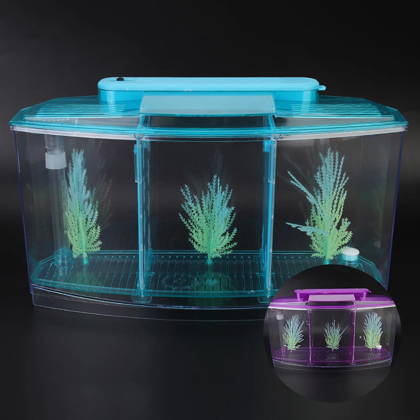 Aquarium Fish Tank
