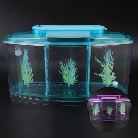 Aquarium Fish Tank