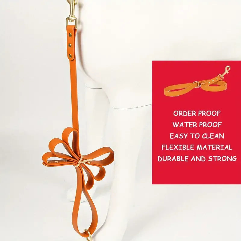 Dog Leash