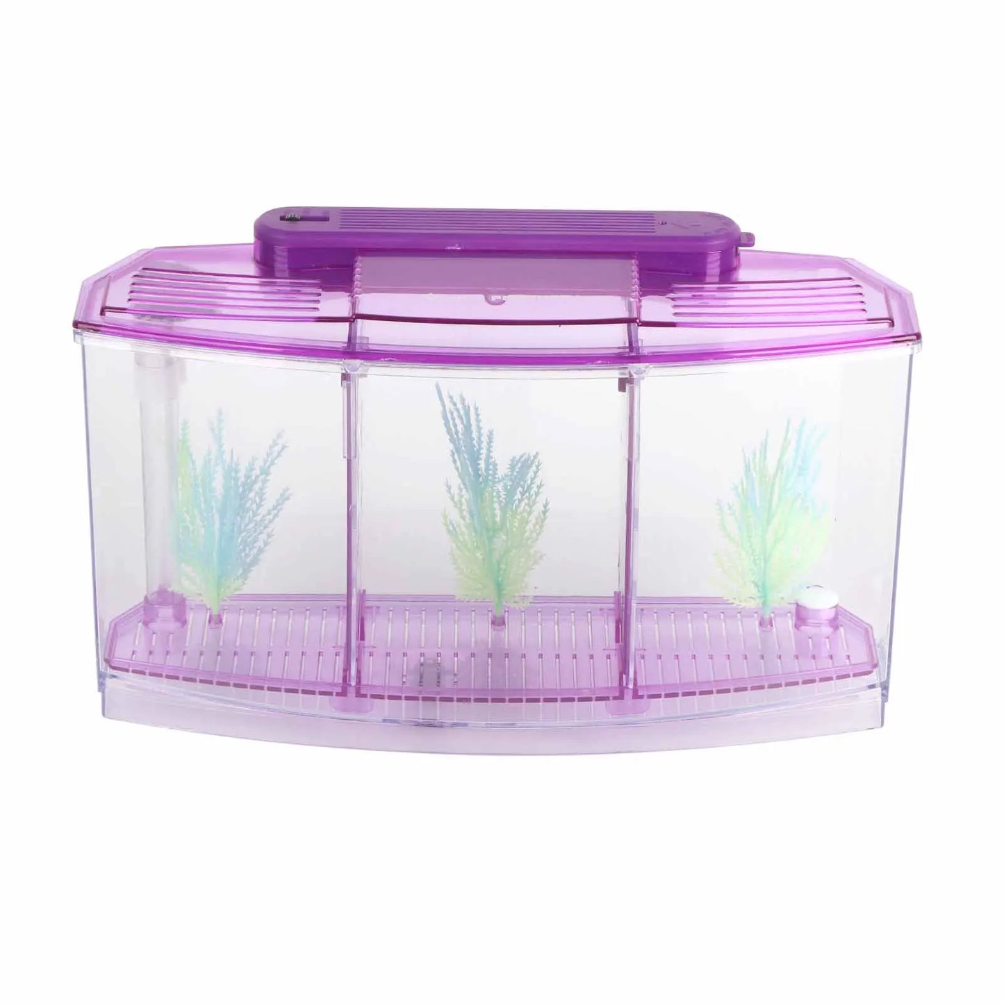 Aquarium Fish Tank