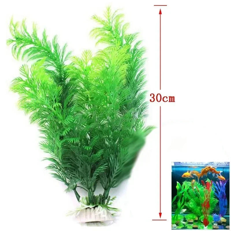 Aquarium plant