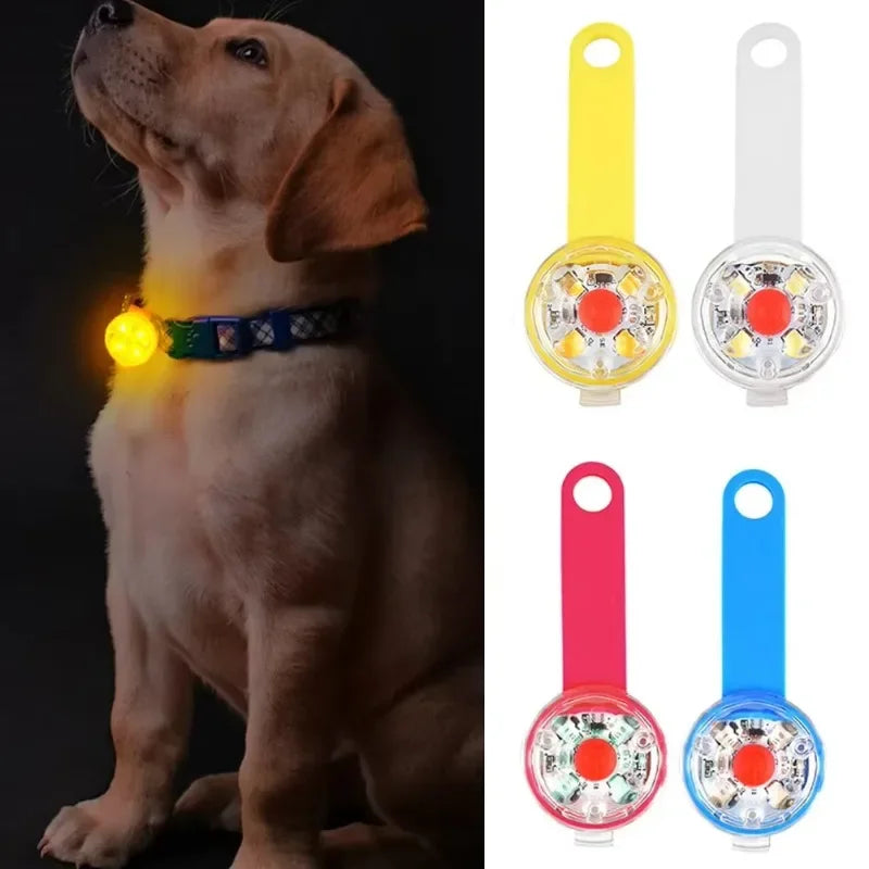 Dog collar LED