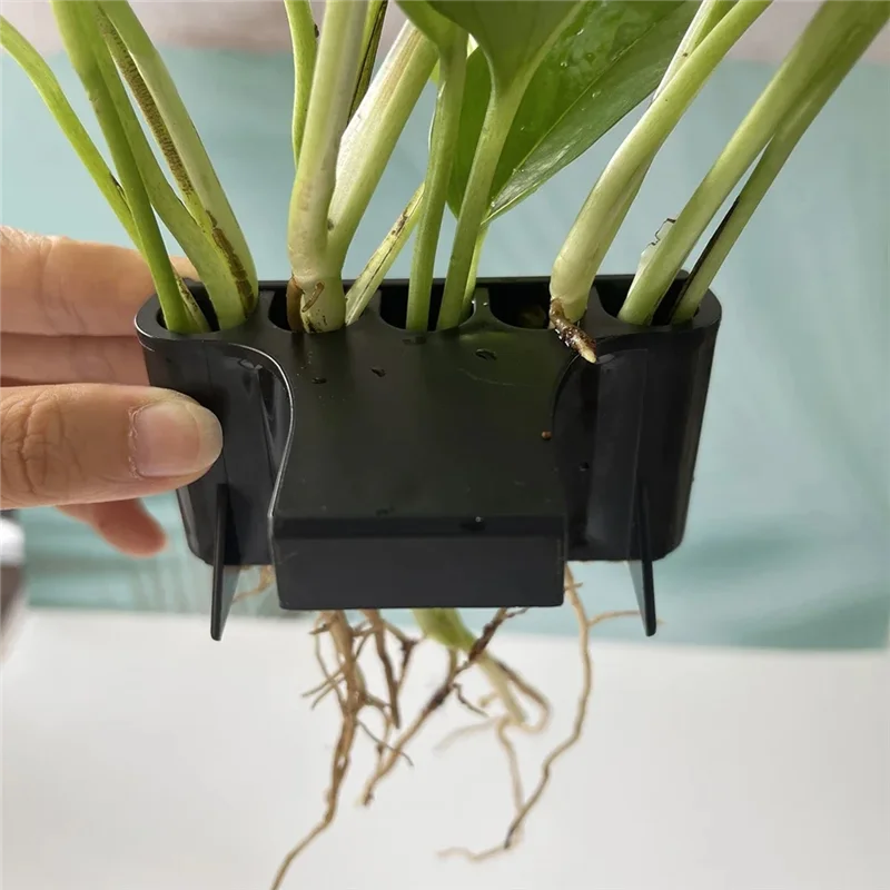 Aquarium Plant Basket