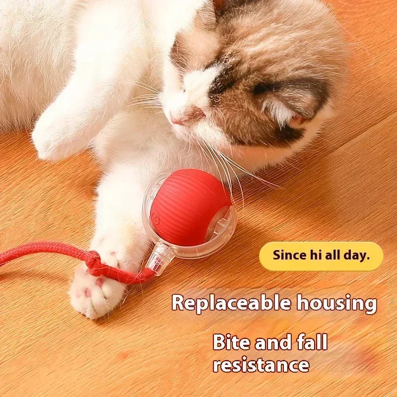 Interactive Toy Ball