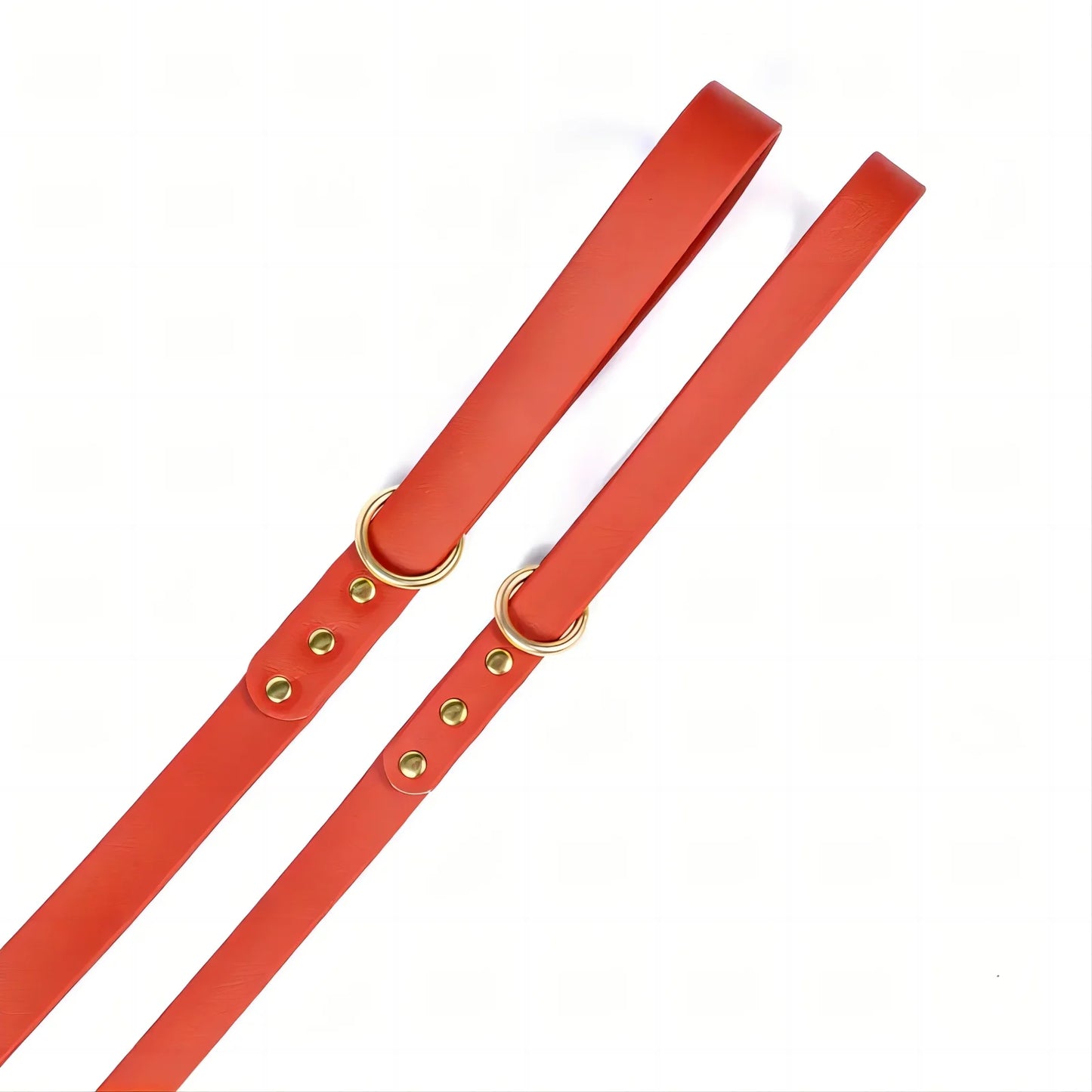 Dog Leash