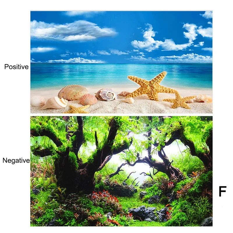 Aquarium Background Sticker