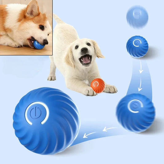 Bouncing Dog Ball