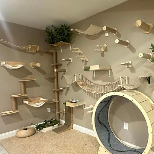 Cat Tree Wall
