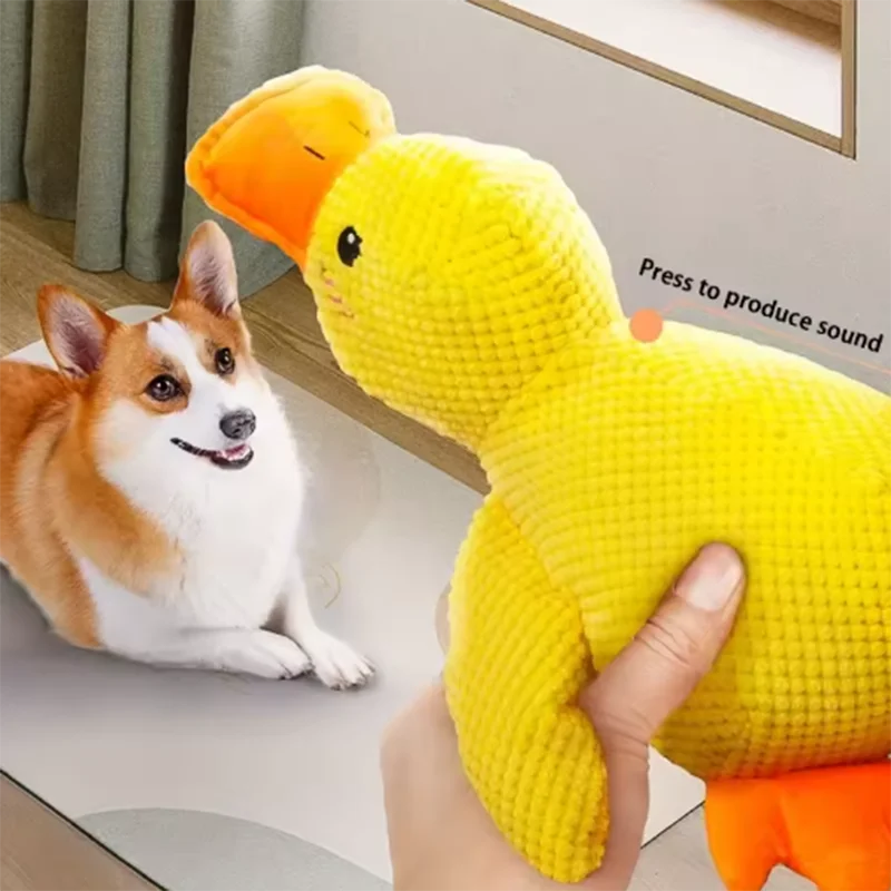 Stomping Duck