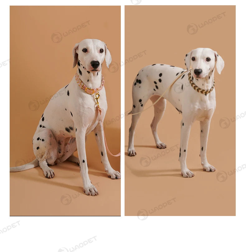 Handmade Dog Collar