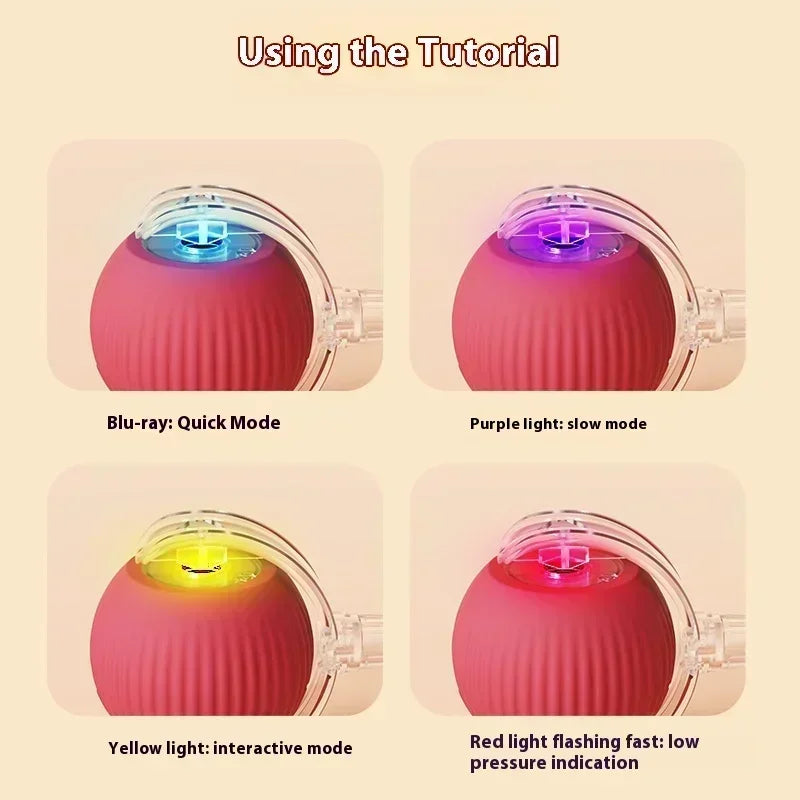 Interactive Toy Ball