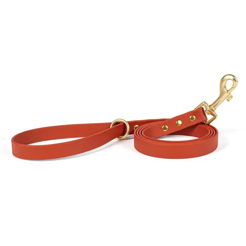 Dog Leash