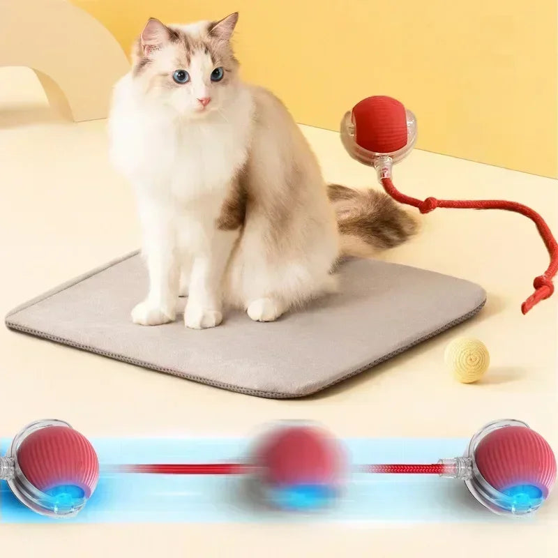 Interactive Toy Ball