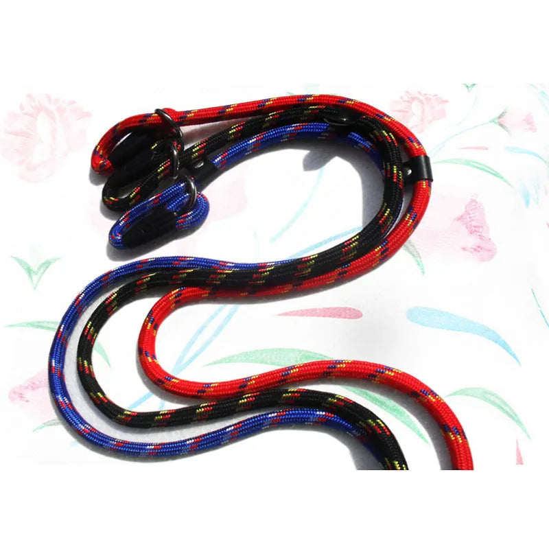 Dog Leash With Comfortable Padded Handle