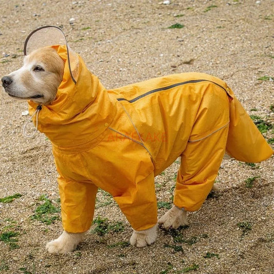 All inclusive raincoat