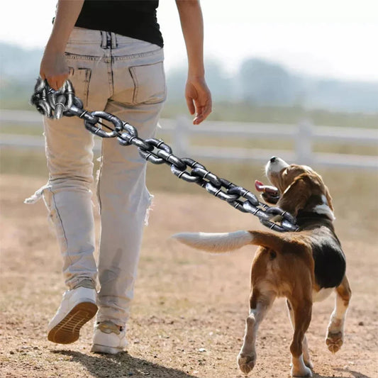 Chain Dog Leashes