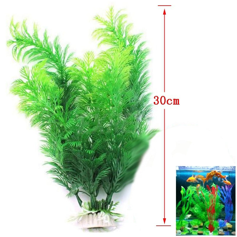 Aquarium plant