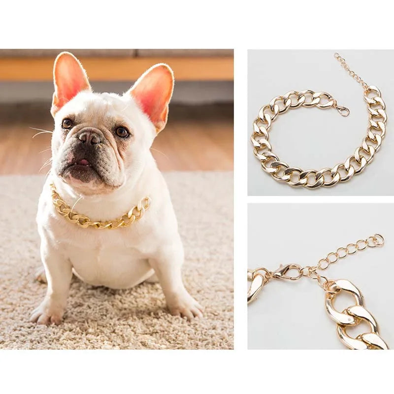 Collar for Small/Medium Dogs