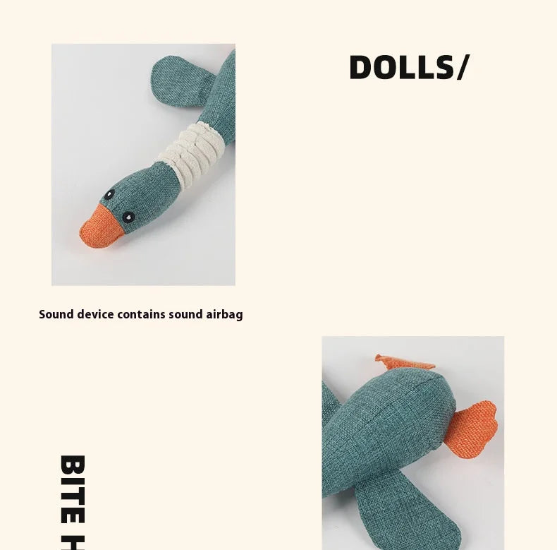 Dogs bite