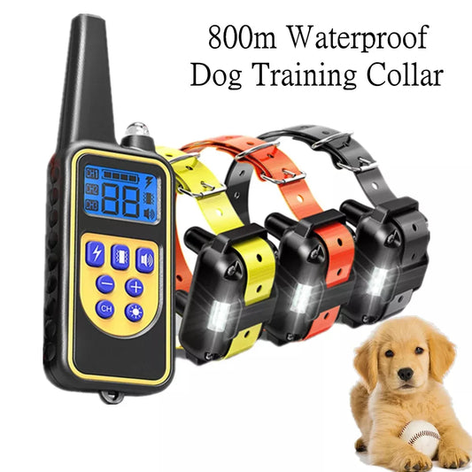 Dog Training Collar