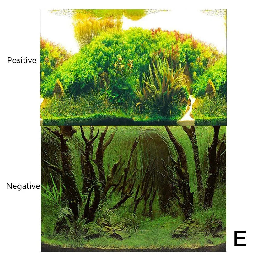 Aquarium Background Sticker